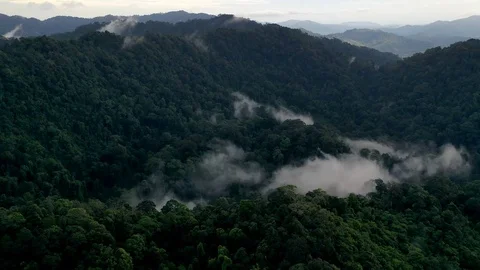 Aerial time lapse of clouds and rainforest Stock Footage 120513058