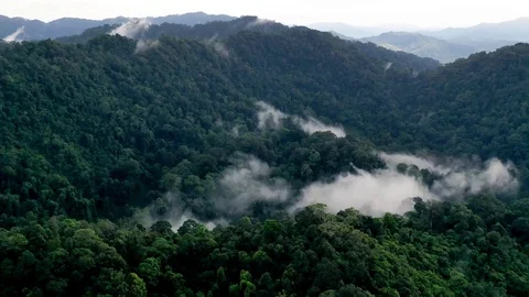 Aerial time lapse of clouds and rainforest Stock Footage 121552832