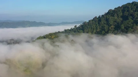 Aerial time lapse of clouds over mountain forest Stock Footage 125963488