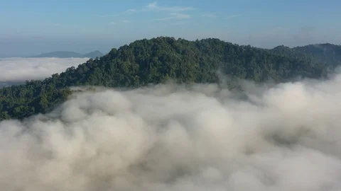 Aerial time lapse of clouds over mountain forest Stock Footage 125963501