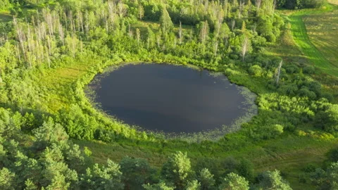 Aerial time-lapse, hyperlapse round lake. Cloudy sky reflected in water Stock Footage 136626840