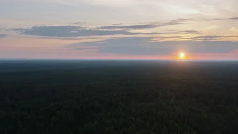 Aerial time-lapse hyperlapse summer morning in forest. Sun rises over woodland Stock Footage 158458296