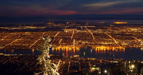 Aerial Time Lapse Lockdown Shot Of Frozen Tree In Illuminated City Against Sky Stock Footage 160318662