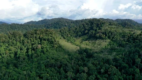 Aerial time lapse of mountain forest Video stock 118435879