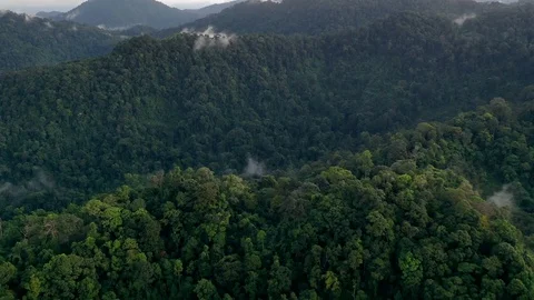 Aerial time lapse of mountain forest Stock Footage 120513039