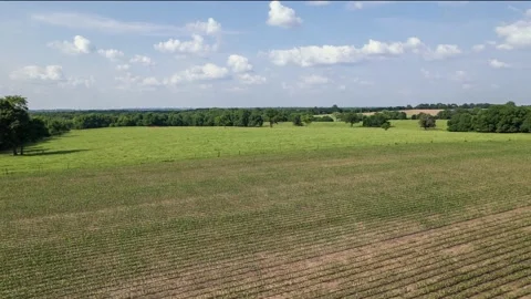 Aerial time lapse panning up over Kansas field Stock Footage 158356554