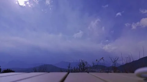Aerial Time-lapse of Tree Branches Swaying in Strong Wind with Stock Footage 330106882