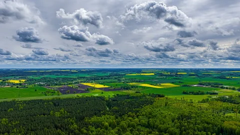 Aerial timelapse of canola fields and forests under dramatic cloudy sky Stock Footage 312657150