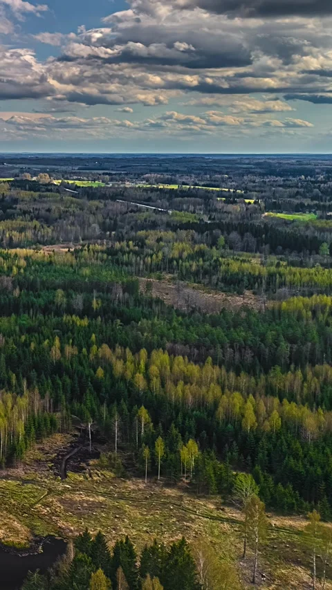 Aerial Timelapse Over Spring Mixed Forest and Clearcut in Latvian Countryside Stock Footage 333440852