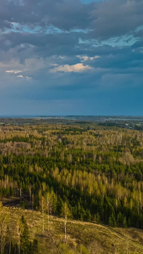 Aerial Timelapse of Storm Clouds Moving Over Vast Endless Boreal Forest in Stock Footage 333440405
