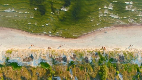 Aerial timelapse top-down view of awe sandy Curonian Spit beaches, Baltic shore 스톡 동영상 247056743