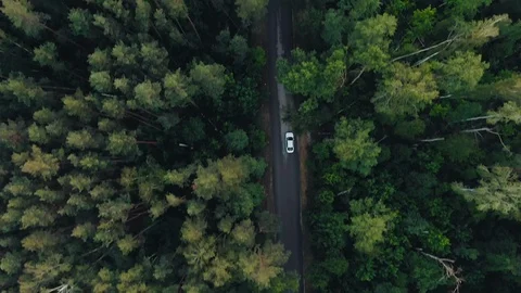 Aerial top down 4k view of white car driving Stock Footage 110937704