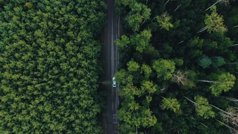 Aerial top down 4k view of white car driving Stock Footage