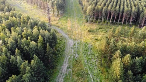 Aerial top down 4k view of the power lines located in the forest Stock Footage 123987250