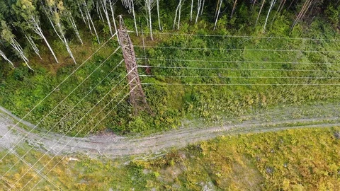 Aerial top down 4k view of the power lines located in the forest Video stock 123987659