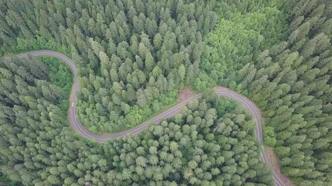 Aerial top down 4k view of car driving on country road in forest in sunny day. 스톡 동영상 128944882