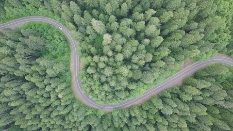 Aerial top down 4k view of car driving on country road in forest in sunny day. Stock Footage 128945052