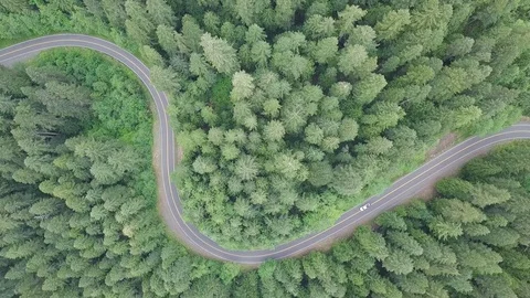 Aerial top down 4k view of car driving on country road in forest in sunny day. Stock Footage 128945199