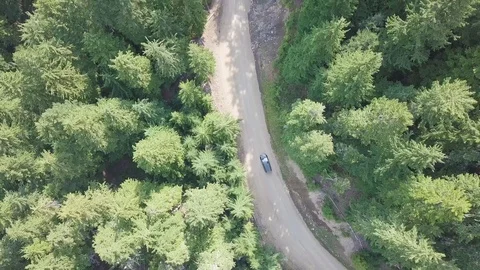 Aerial top down 4k view of car driving on country road in forest in sunny day. Stock Footage 129351941