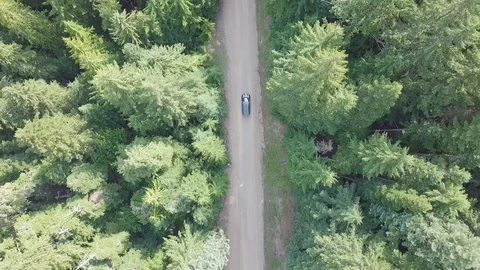 Aerial top down 4k view of car driving on country road in forest in sunny day. Stock Footage 129351999