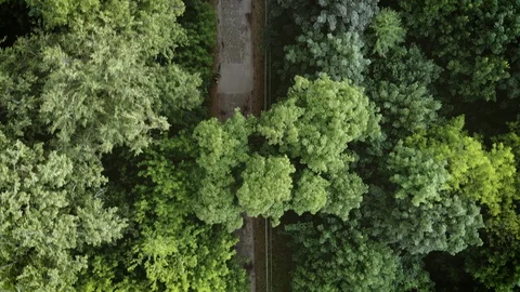 Aerial top down 4k view of white car driving on country road in forest Stock Footage 129451756