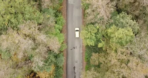 Aerial top down 4k view of white car driving on country road Stock Footage 141908398