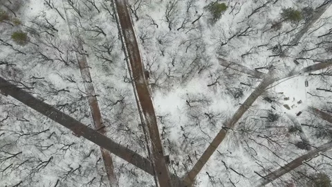 Aerial top down 4k view winter park and walking people in fresh air Stock Footage 150368314