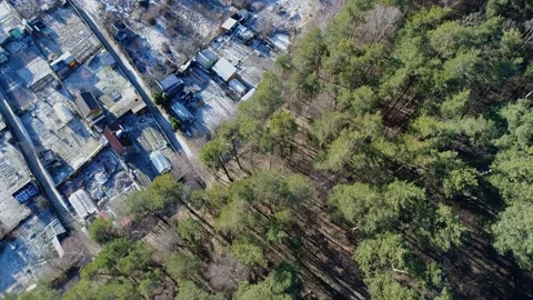 Aerial top down 4k view forest. Cinematic drone shot flying over pine tree Stock Footage 152640709