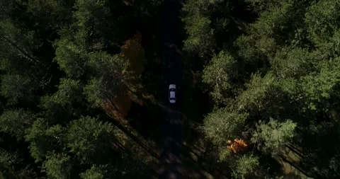 Aerial top down 4k view of white car driving on country road in the forest Stock Footage 196302459