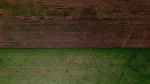 Aerial top down of abstract fields during summer near Thyrow Brandenburg Vidéo 249525692