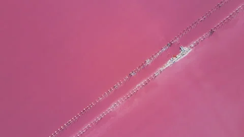 Aerial top down  abstract view of pink salt lake texture. Vídeos de archivo 337000617