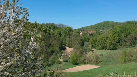 Aerial top to down, apple tree at hill countryside Stock Footage 88818689