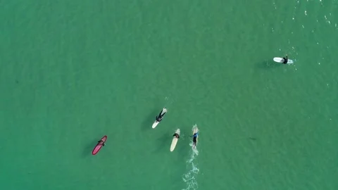 Aerial top down ascent over Australian longboard surfers Video stock 133348238