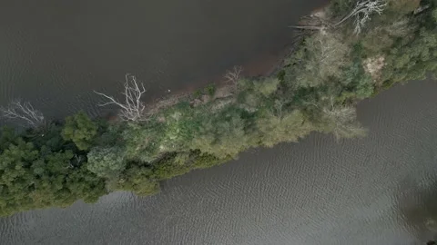 Aerial top down bird eye view of Parramatta River, New South Wales, Video stock 204504037