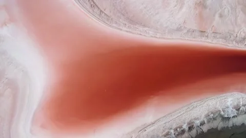 Aerial top down bottom rose salt Koyashskoe lake Crimea Russia algae bloom Kerch Video stock 155038246
