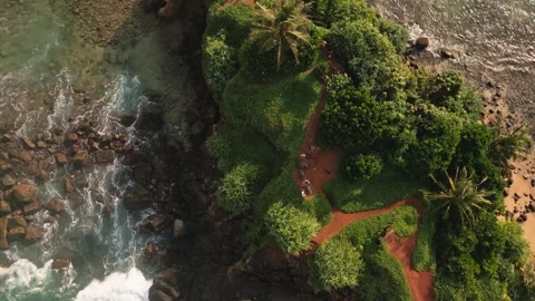 Aerial top down circular view Tourists Sightseeing Parrot Island surrounded.. Vídeos de archivo 309307546