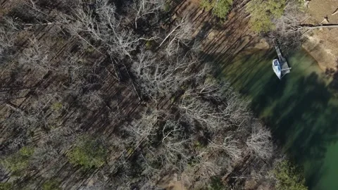 Aerial top down Clarks Hill Lake in winter after Hurricane Helene in Applin.. Stock Footage 317023093