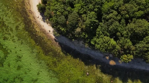 Aerial top down of coast line of Mnchgut peninsula on the island of Rgen in.. 스톡 동영상 250088013