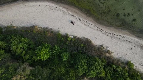 Aerial top down of coast line of Baltic Sea in Mnchgut peninsula on the isl.. Vídeos de archivo 250089293