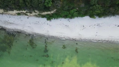 Aerial top down of coast line of Baltic Sea in Mnchgut peninsula on the isl.. 스톡 동영상 250089723