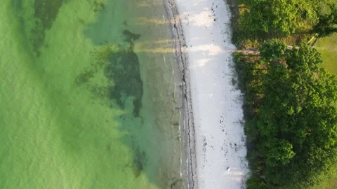 Aerial top down of coast line of Baltic Sea in Mnchgut peninsula on the isl.. 스톡 동영상 250089738