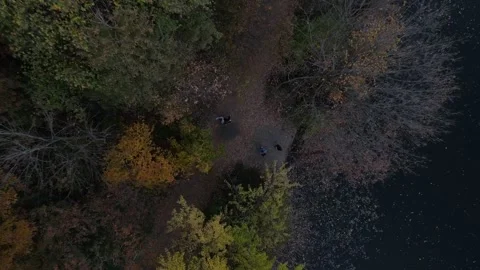 Aerial top down of colorful trees in Prospect Park Brooklyn during fall in .. Video stock 284475465