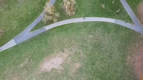 Aerial top down of colorful trees in Prospect Park Brooklyn during fall in .. Stock Footage 284481044