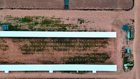 Aerial top down of corn and guinea fowl poultry farm rural Appalachia Centr.. 스톡 동영상 318663929
