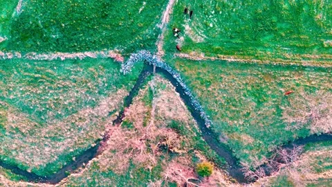 Aerial top down of corn field creek mountains rural Appalachia Central Penn.. Stock-Footage 318648454