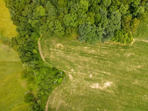 Aerial top down of corn field farmland in the Appalachian mountains in rura.. Stock Photos
