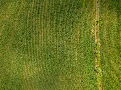 Aerial top down of corn field farmland in the Appalachian mountains in rura.. Stock Photos