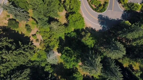 Aerial top down of Council Crest Park Portland nature view on sunny summer .. 스톡 동영상 295144622