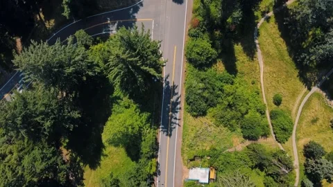 Aerial top down of Council Crest Park Portland nature view on sunny summer .. 스톡 동영상 295144948