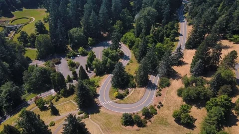 Aerial top down of Council Crest Park Portland road nature view on sunny su.. Video stock 295155103